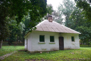 деревня Вольно