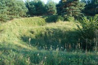 Верховляны городище