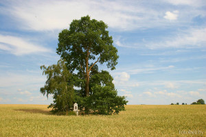 Жукевичи часовня