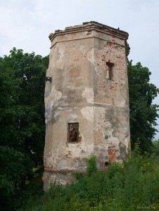 Быховский замок