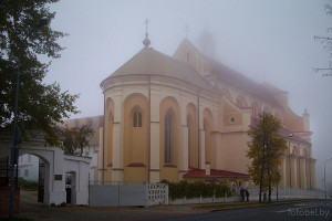 Гродно костёл