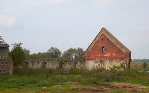 Огородники Каменецкий район