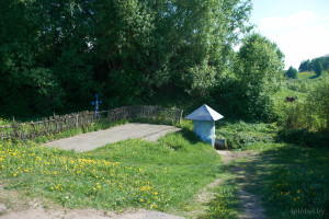 родник в деревне Горы