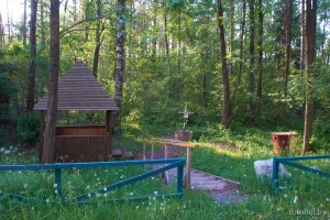 Криница возле Корытницы