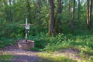 Криница возле Корытницы