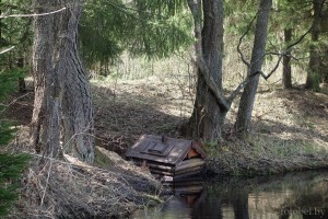 Родник Еленка