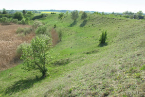 Городок городище