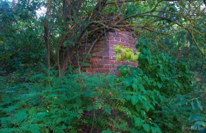 Пески пилон