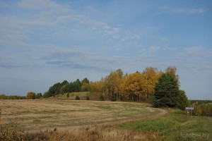 Городище Мядельский район