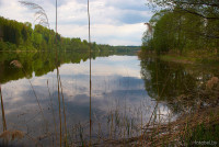 Озеро Большое Уклейно