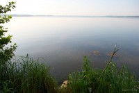 Береза озеро Белое