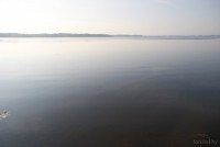 Береза озеро Белое