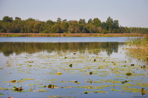 Озеро Большое Язно