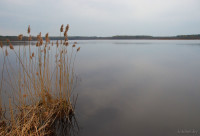 Озеро Ореховское