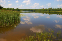 Озеро Первищенское