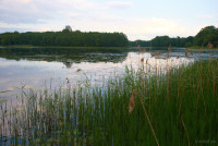 Озеро Плюсы