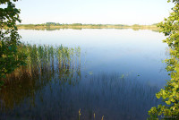 Озеро Рожево