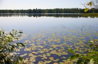 Озеро Сумовка