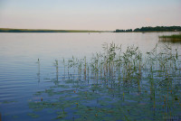 Озеро Свирь