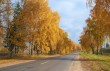 белорусская осень