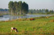 Белорусский пейзаж