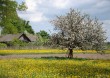 Весна в Беларуси