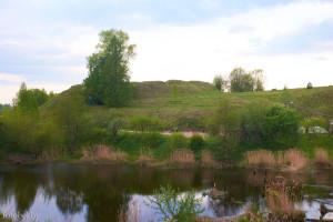 Вороничи городище