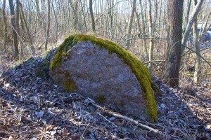 Бородулинский камень