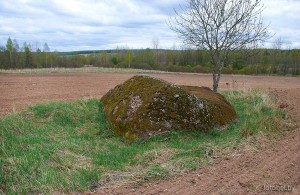 Харлинский валун