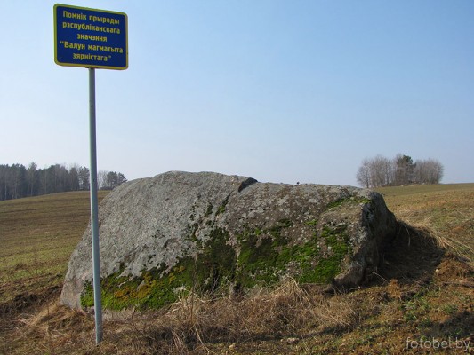 валун магматита зернистого