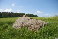 валун магматита зернистого