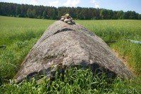 валун магматита зернистого