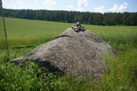 валун магматита зернистого