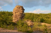 Песчаники Беларуси