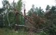 ураган в Беларуси