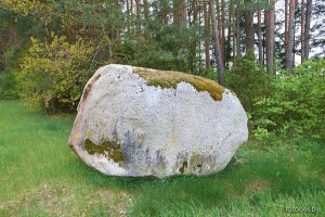 Валун Болотники