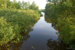 река Дорогобуж