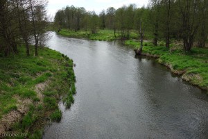 фото реки Гайна