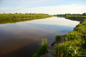 Река Горынь