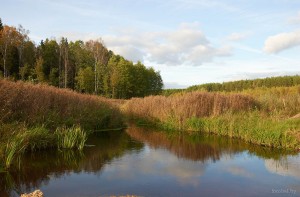 Река Клёва