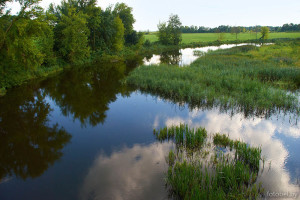 Река Лашанка