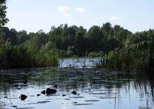 Река Лужеснянка