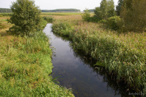 Река Мышанка