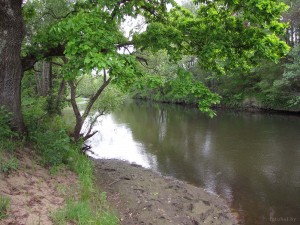 Река Нарочанка
