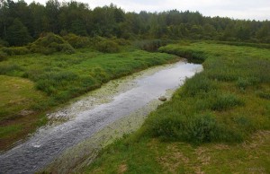 Река Оршица