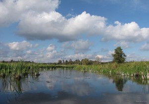 Река Осливка