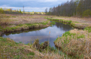 Река Осока