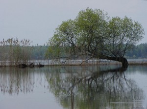 Река Овсянка