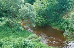 Река Полота