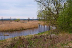 Река Сервечь